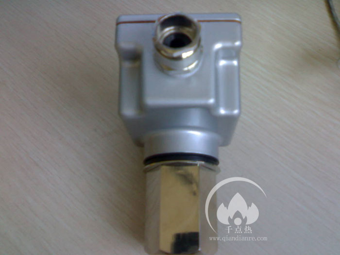 西門(mén)子QRA10.C