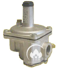 珠麗安妮FSDR系列