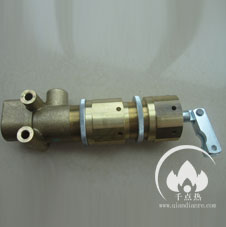 利雅路風(fēng)門液壓缸