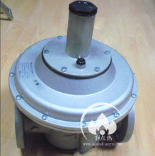 珠麗安妮FS1B系列